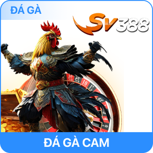 DAGA789F